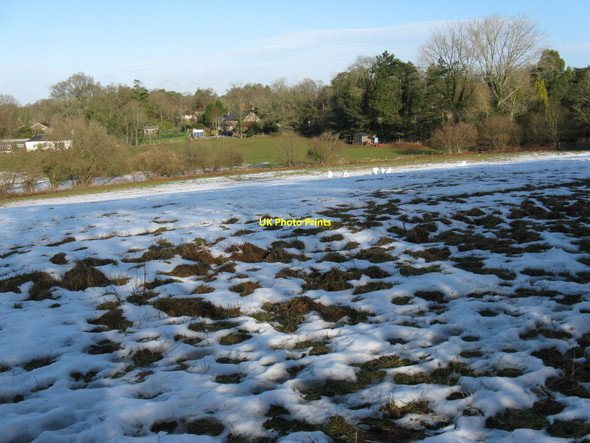 Photo 6"x4" North to the southern edge of West Chiltington Common Smock Alley c2010