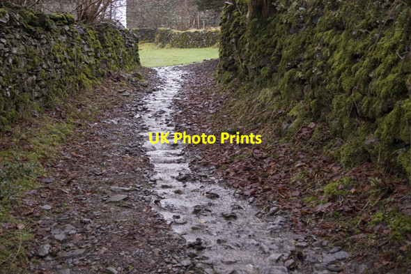 Photo 6"x4" Footpath to Hollins Bowland Bridge c2010