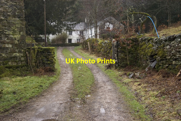 Photo 6"x4" Road to Wood Farm Hubbersty Head c2010