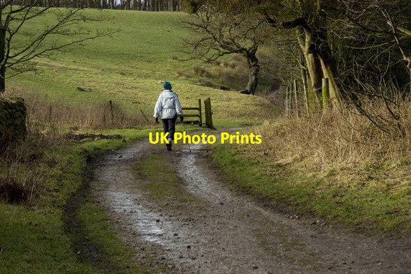 Photo 6"x4" Footpath by Long Crossey Wood Cabus c2010