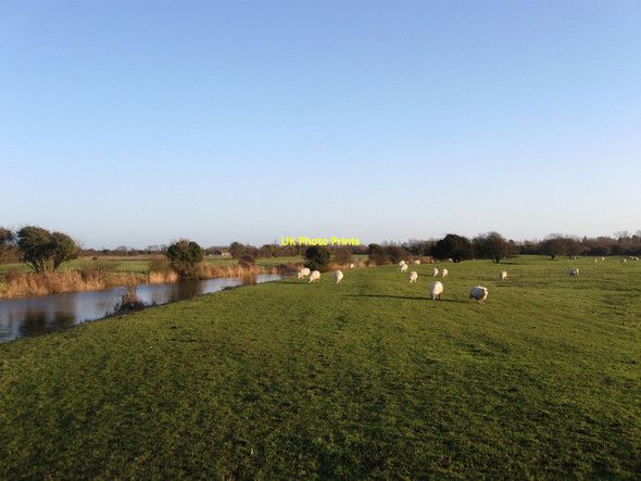 Photo 6"x4" 1066 Country Walk Pevensey c2010