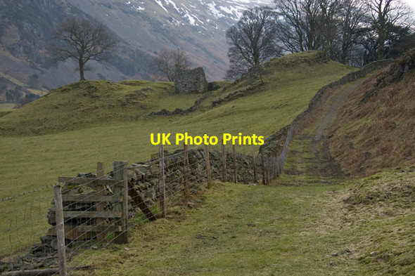 Photo 6"x4" Footpath to Low Bridgend Birkett Mire c2010