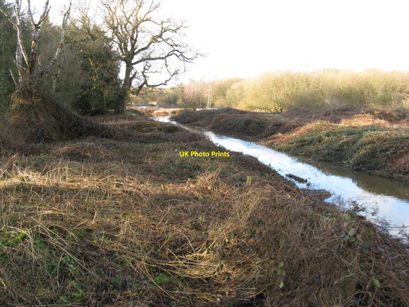 Photo 6"x4" West along the River Stor Marehill c2010