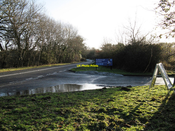 Photo 6"x4" Entrance road to Pulborough Brooks Wiggonholt c2010