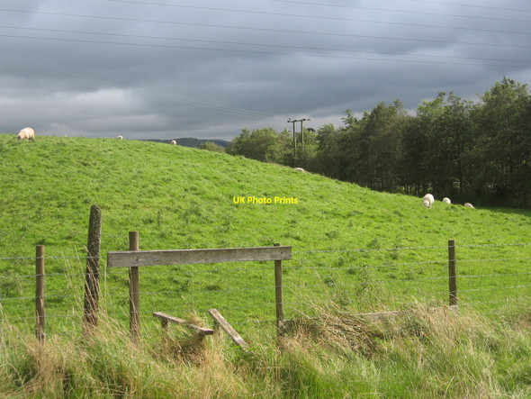Photo 6"x4" Hillside at Pant Pant\/SO0608 c2008