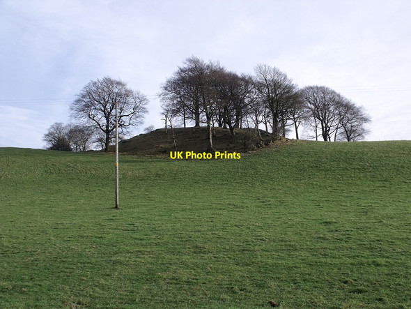Photo 6"x4" Colziumbea at Shawend Kilsyth c2010