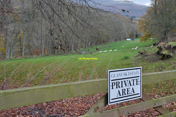 Photo 6"x4" Glanusk estate Llangynidr c2010