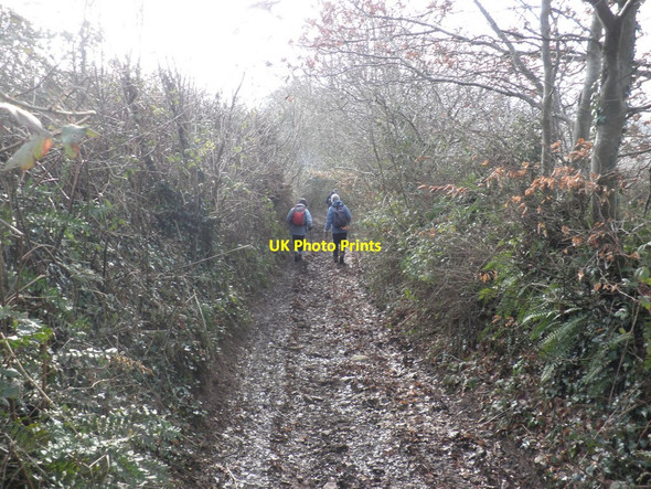 Photo 6"x4" Muddy track, down to Greenslinch Livingshayes c2010
