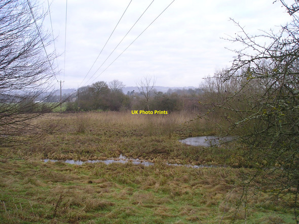 Photo 6"x4" River Thames: Cock Marsh Bourne End\/SU8987 c2010