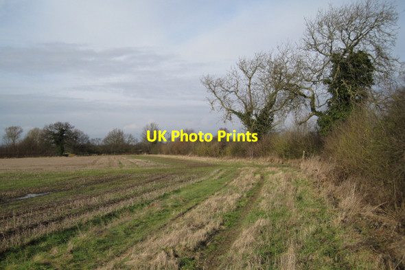 Photo 6"x4" Hedgerow changes direction Cubbington c2010