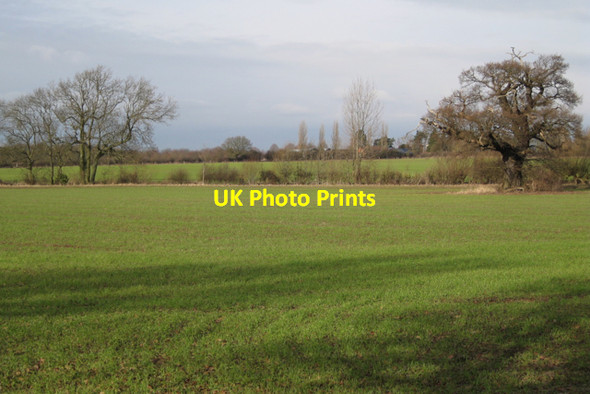 Photo 6"x4" Attenuated hedgerow on a parish boundary Cubbington c2010