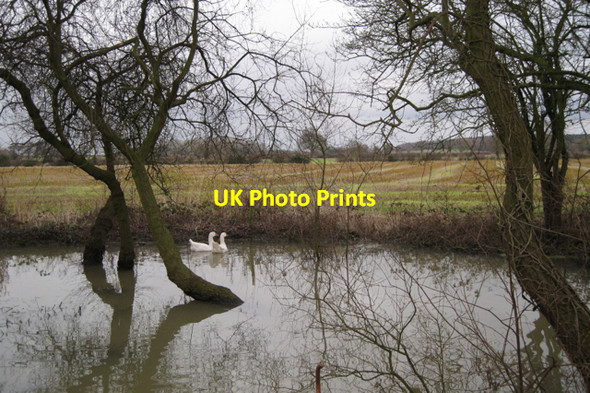 Photo 6"x4" Full pond near Furzen Hill Cottages Stareton c2010