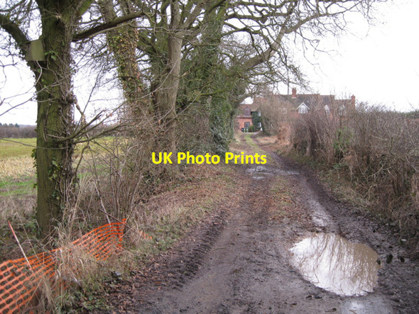Photo 6"x4" Green lane from Stareton nears Furzen Hill Cottages Stareton c2010