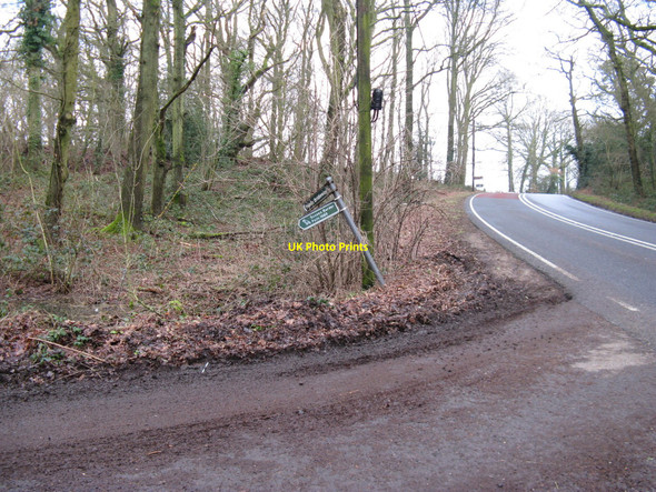 Photo 6"x4" Path signs for the Sussex Border Path and bridleway Ansteadbrook c2010