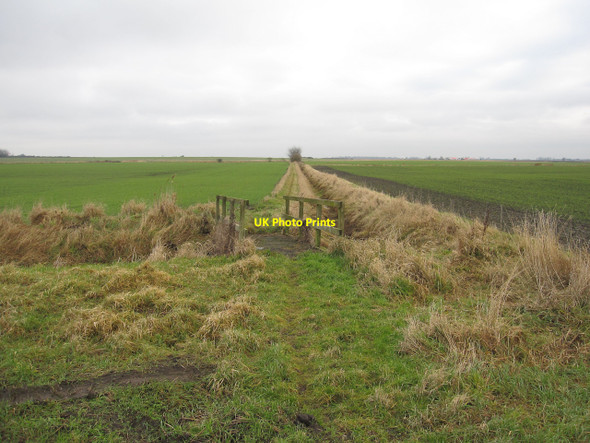 Photo 6"x4" Footpath to Doddington Doddington\/TL3990 c2010 P1