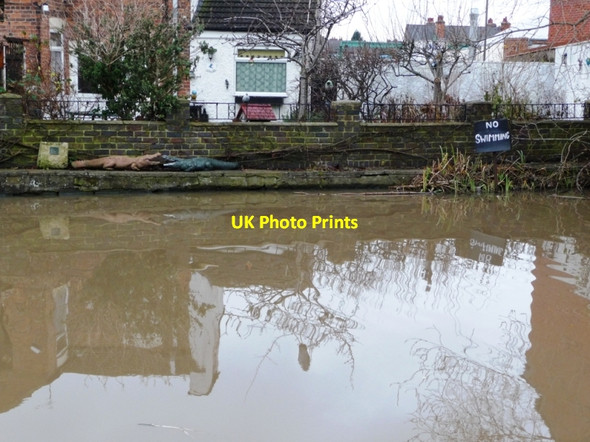 Photo 6"x4" Canalside crocodiles Long Eaton c2010