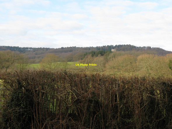 Photo 6"x4" Hedgerow view towards Haslemere Fisherstreet c2010
