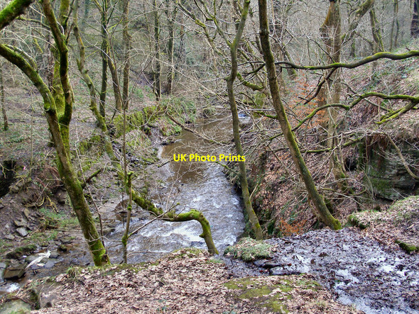 Photo 6"x4" Naden Brook Bagslate Moor c2010