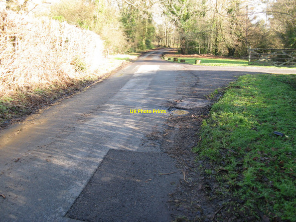 Photo 6"x4" Single track lane from Hillgrove approaching Northchapel Hillgrove c2010
