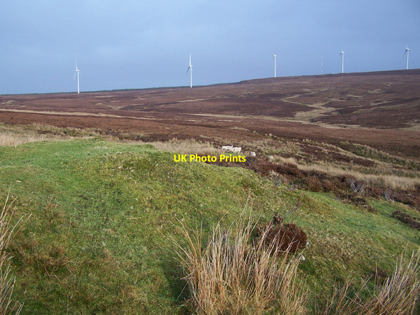 Photo 6"x4" Shieling, sheep and wind farm Glen Heysdal c2010