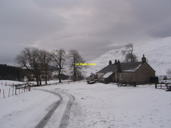 Photo 6"x4" Runtaleave in the grip of winter. Balnaboth\/NO3166 c2010