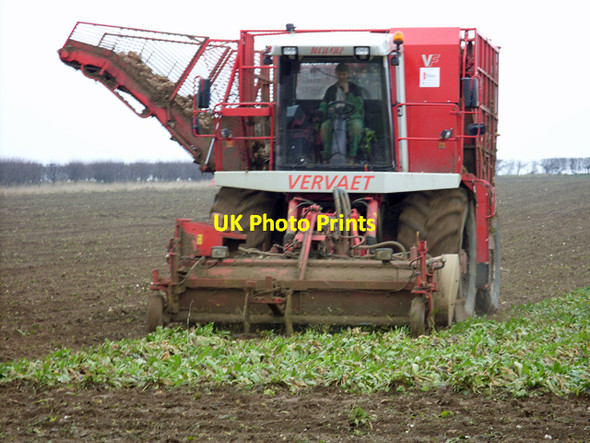 Photo 6"x4" Vervaet Beeteater Harvester on Horkstow Wolds Horkstow Wolds c2010
