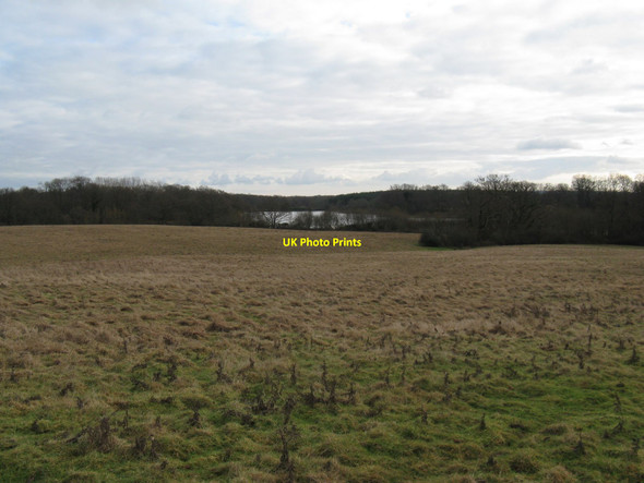 Photo 6"x4" View across rough grassland to The Lake Fisherstreet c2010