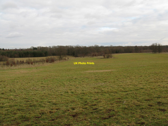 Photo 6"x4" Former deer park at Shillinglee Park Fisherstreet c2010