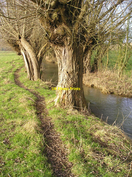 Photo 6"x4" The Path by the Stream Radford\/SP4023 c2010