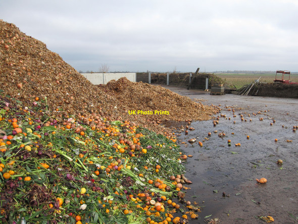 Photo 6"x4" Rotting vegetables Doddington\/TL3990 c2010 P1