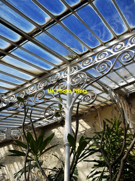 Photo 6"x4" Interior of the Palm House Belfast c2010