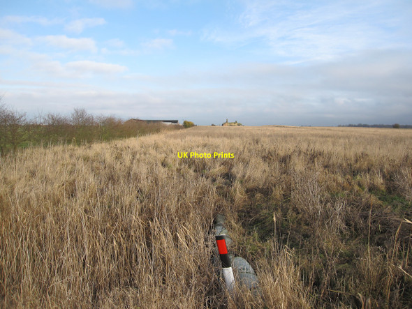 Photo 6"x4" Rough grass on Block Fen Wimblington c2010