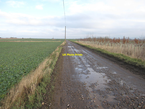 Photo 6"x4" Track across Block Fen Horseway c2010 P1