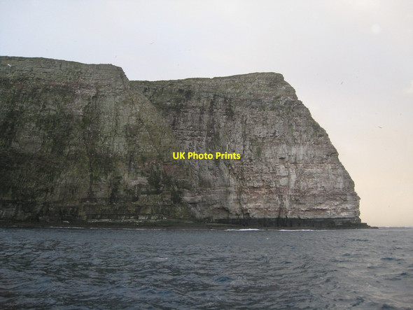 Photo 6"x4" Noup of Noss Rumble Wick c2010
