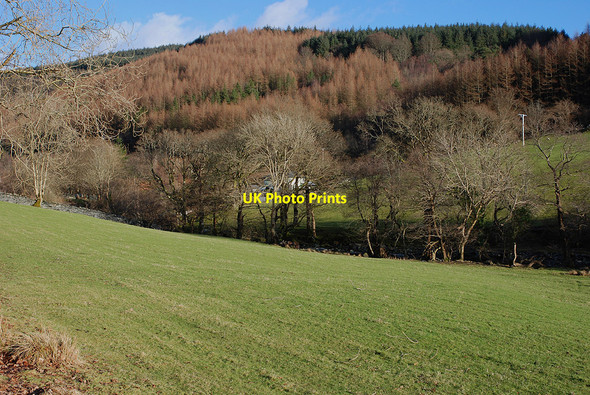 Photo 6"x4" Fields by the Afon Dulas Aberllefenni c2010