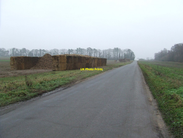 Photo 6"x4" Country Road Middle Harling c2010