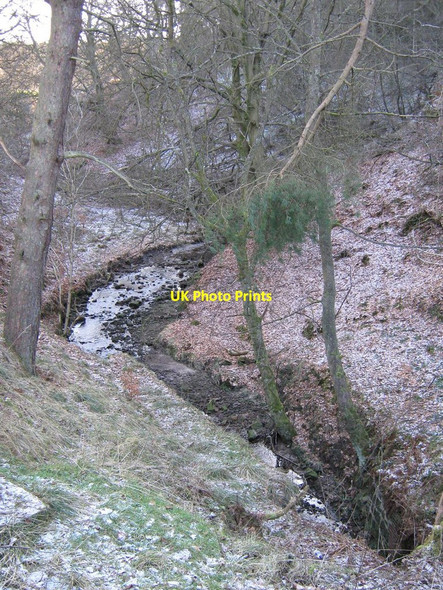 Photo 6"x4" Glen near Glenhead Cumbernauld c2010