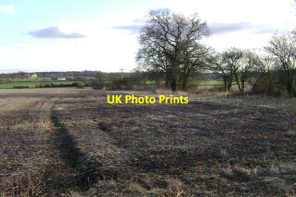 Photo 6"x4" Hedgerow on a parish boundary by a stream Cubbington c2010