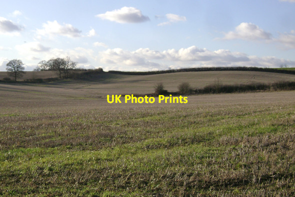 Photo 6"x4" Half a hedge and no spring Cubbington c2010