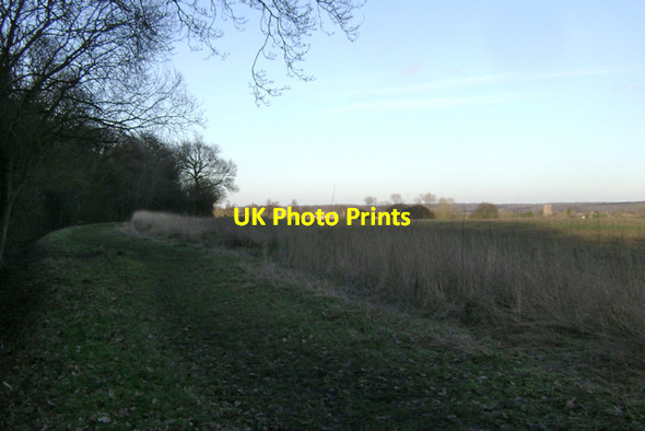 Photo 6"x4" In the shadow of South Cubbington Wood Cubbington c2010