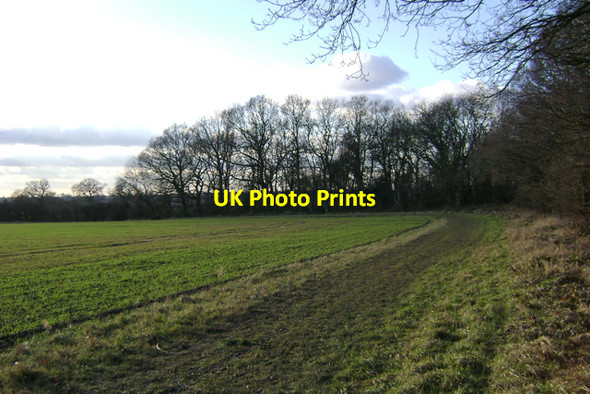 Photo 6"x4" Southwest corner of South Cubbington Wood Cubbington c2010