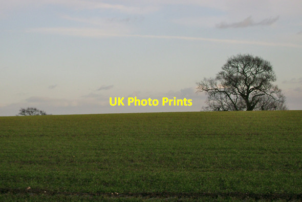 Photo 6"x4" A ridge south of South Cubbington Wood Cubbington c2010
