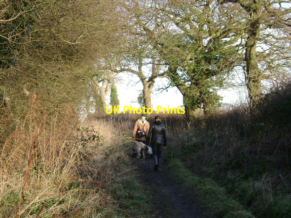 Photo 6"x4" Dogwalkers, Mill Lane Cubbington c2010