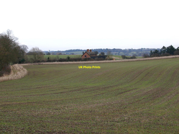 Photo 6"x4" Wood Cottages, Hampton Wood Wasperton c2010