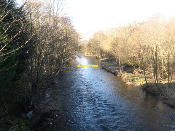 Photo 6"x4" River Devon Dollar c2010