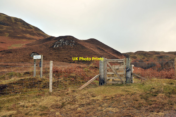 Photo 6"x4" Hill path to Loch an Losgainn Mor Kilmelford c2010