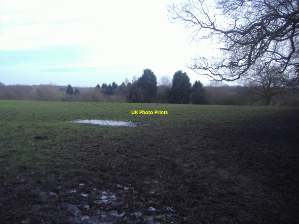 Photo 6"x4" Field in Effingham Little Bookham c2010