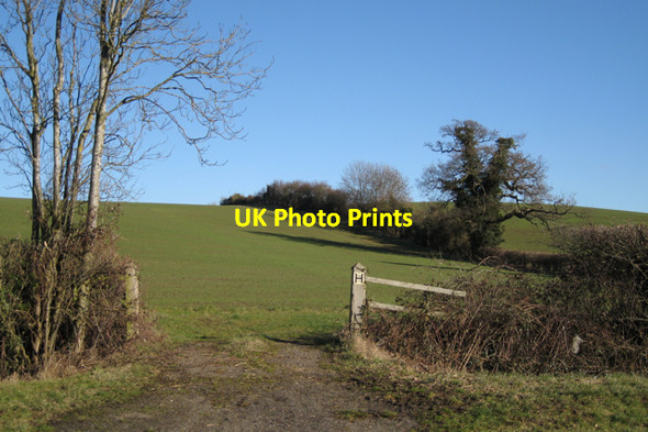 Photo 6"x4" Hillside above Ford Farm Cottages Campion Hills c2010
