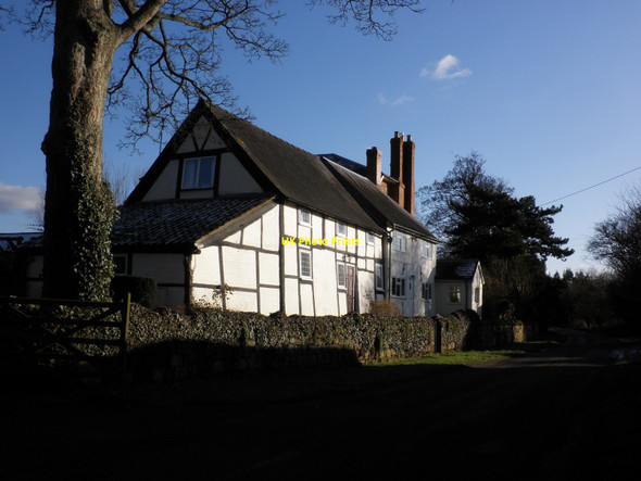 Photo 6"x4" Cottages, Hampton Bishop Hampton Bishop c2010