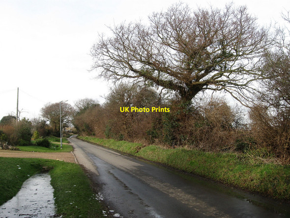Photo 6"x4" Peelings Lane Westham\/TQ6304 c2010